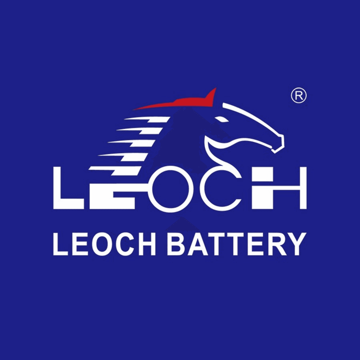 LEOCH car battery logo